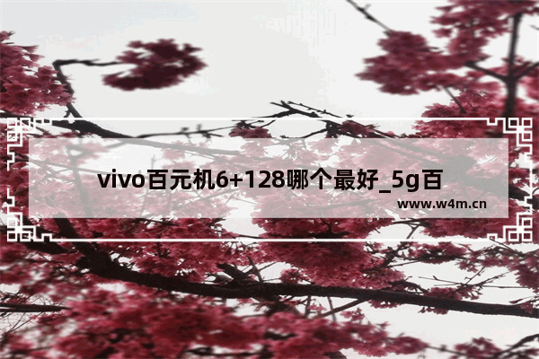 vivo百元机6+128哪个最好_5g百元机性价比最高的手机