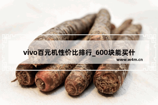 vivo百元机性价比排行_600块能买什么好vivo