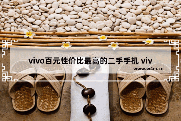 vivo百元性价比最高的二手手机 vivo手机推荐颜值百元机