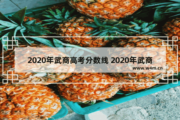 2020年武商高考分数线 2020年武商高考分数线