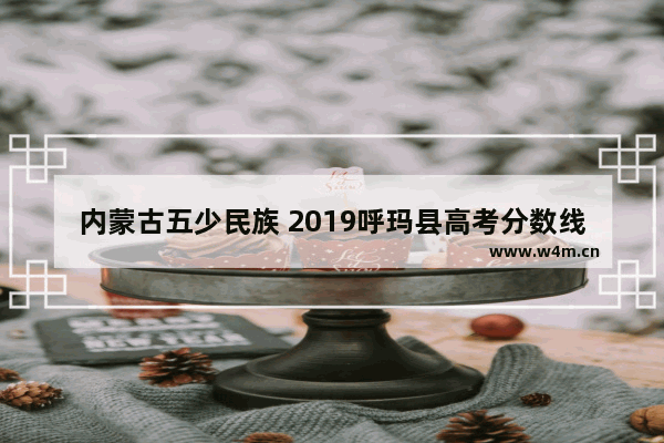 内蒙古五少民族 2019呼玛县高考分数线