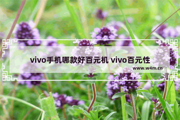 vivo手机哪款好百元机 vivo百元性能手机推荐