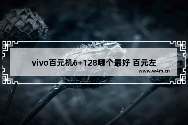 vivo百元机6+128哪个最好 百元左右vivo手机推荐哪款好用