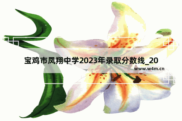 宝鸡市凤翔中学2023年录取分数线_2021陕西省考成绩及分数线