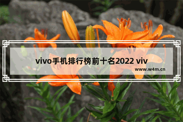 vivo手机排行榜前十名2022 vivo手机推荐排行榜最新