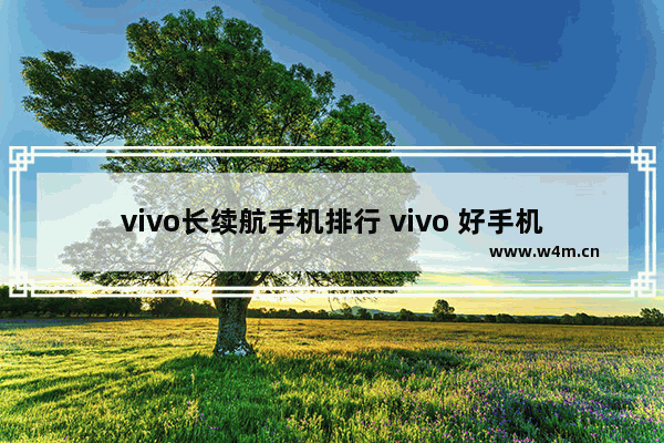 vivo长续航手机排行 vivo 好手机推荐