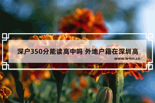 深户350分能读高中吗 外地户籍在深圳高考分数线