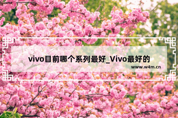 vivo目前哪个系列最好_Vivo最好的十款机型