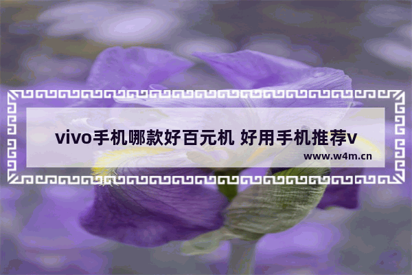 vivo手机哪款好百元机 好用手机推荐vivo百元机型