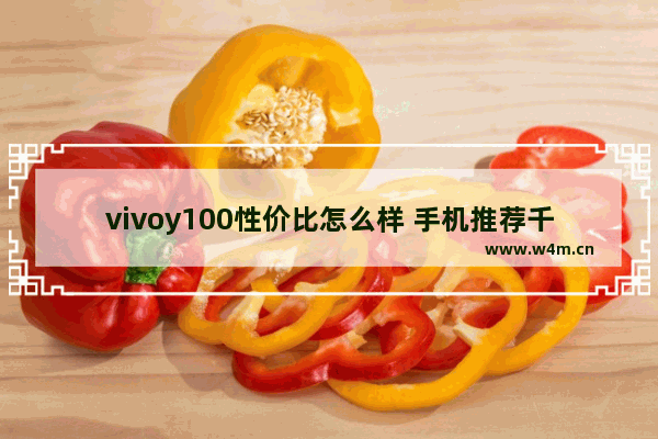 vivoy100性价比怎么样 手机推荐千元新机vivo