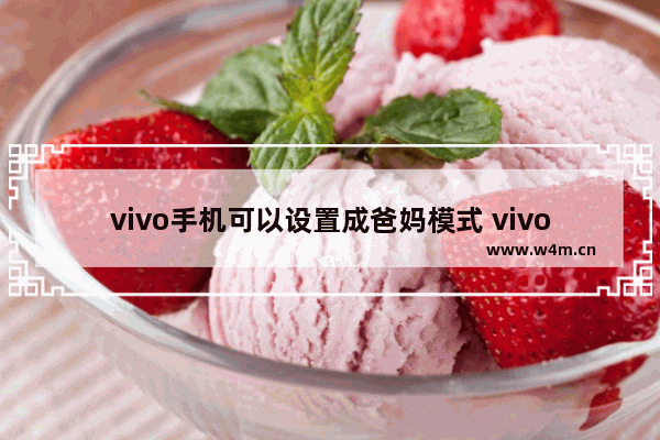 vivo手机可以设置成爸妈模式 vivo手机推荐给父母用