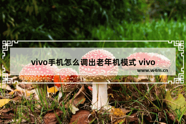 vivo手机怎么调出老年机模式 vivo手机推荐父母用什么模式好