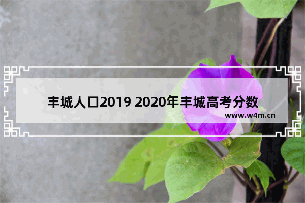 丰城人口2019 2020年丰城高考分数线