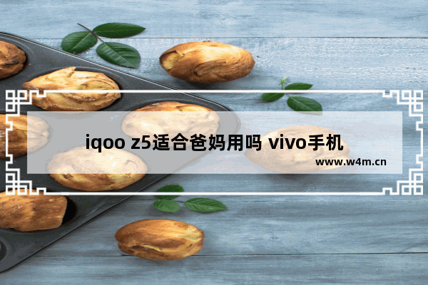 iqoo z5适合爸妈用吗 vivo手机推荐父母用什么模式最好