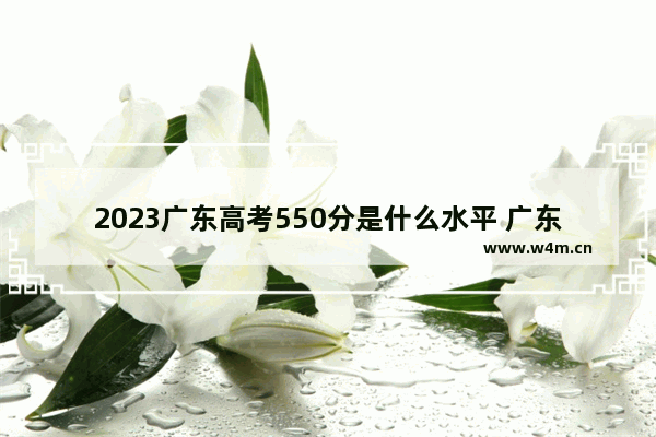 2023广东高考550分是什么水平 广东高考分数线理科是多少