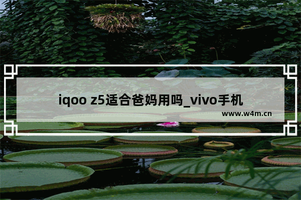 iqoo z5适合爸妈用吗_vivo手机可以设置成爸妈模式