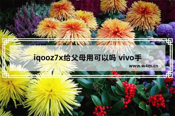 iqooz7x给父母用可以吗 vivo手机推荐给爸妈