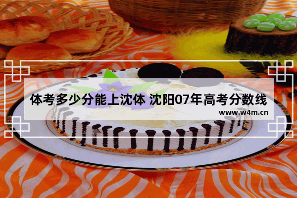 体考多少分能上沈体 沈阳07年高考分数线