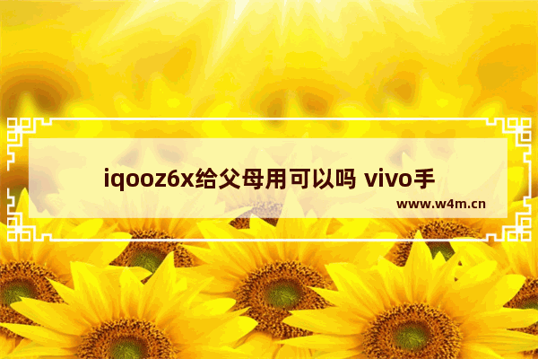 iqooz6x给父母用可以吗 vivo手机推荐父母用一千多