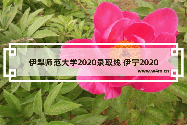 伊犁师范大学2020录取线 伊宁2020年高考分数线