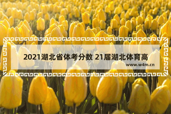 2021湖北省体考分数 21届湖北体育高考分数线