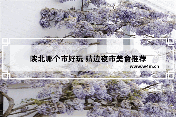 陕北哪个市好玩 靖边夜市美食推荐