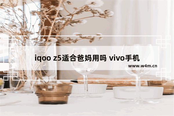 iqoo z5适合爸妈用吗 vivo手机推荐父母用哪个型号好用