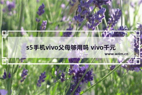 s5手机vivo父母够用吗 vivo千元手机推荐父母用吗值得买吗