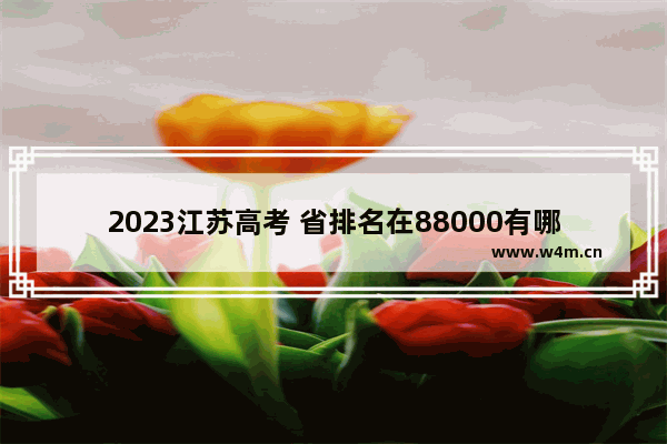 2023江苏高考 省排名在88000有哪些大学可上 江苏明年高考分数线多少