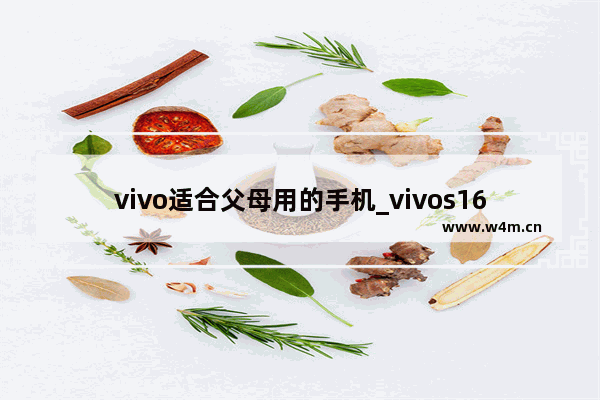 vivo适合父母用的手机_vivos16可以给父母用吗