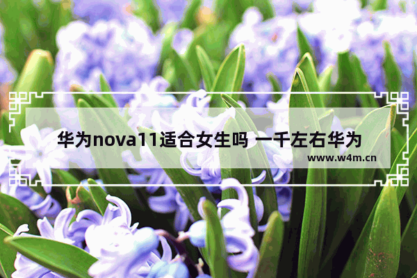 华为nova11适合女生吗 一千左右华为手机推荐女生用什么