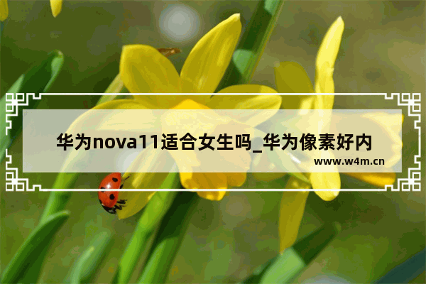 华为nova11适合女生吗_华为像素好内存大适合女生的手机