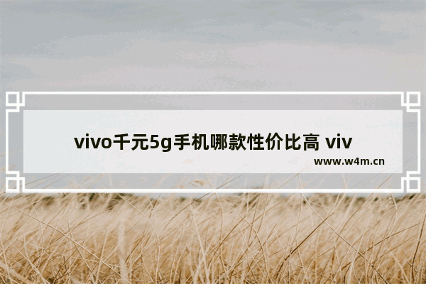 vivo千元5g手机哪款性价比高 vivo手机5g千元手机推荐