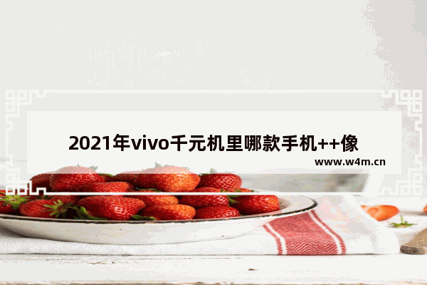 2021年vivo千元机里哪款手机++像素最高 vivo手机推荐像素高千元