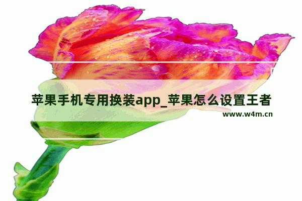 苹果手机专用换装app_苹果怎么设置王者一键换装