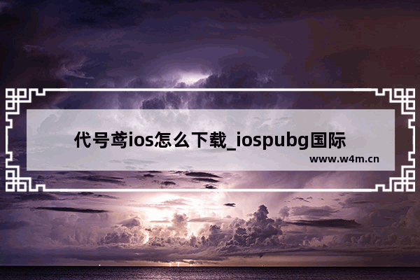 代号鸢ios怎么下载_iospubg国际服怎么下