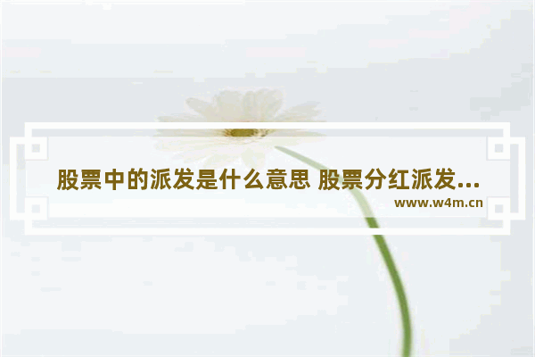 股票中的派发是什么意思 股票分红派发规则