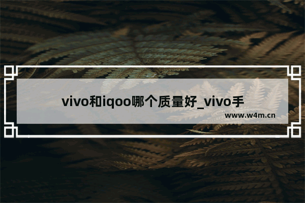 vivo和iqoo哪个质量好_vivo手机好用还是iqoo手机好用呀