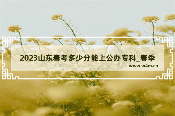 2023山东春考多少分能上公办专科_春季高考本科分数线每个专业多少分