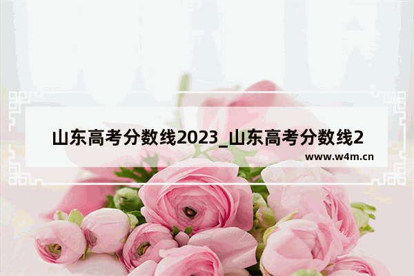 山东高考分数线2023_山东高考分数线2023