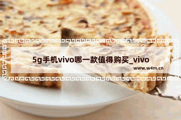 5g手机vivo哪一款值得购买_vivo千元5g手机哪款性价比高