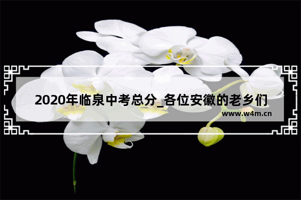 2020年临泉中考总分_各位安徽的老乡们 我想问一下安徽临泉一中的中考分数线是多少 另外各科的分数是怎么分配的 总分是多少