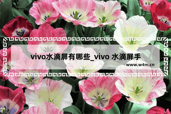 vivo水滴屏有哪些_vivo 水滴屏手机推荐