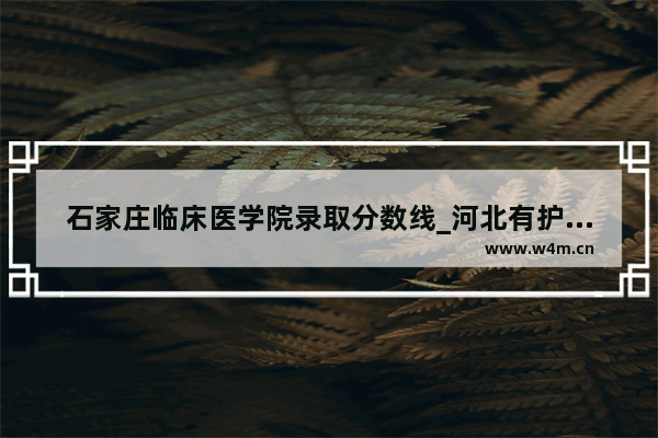 石家庄临床医学院录取分数线_河北有护理专业的二本院校