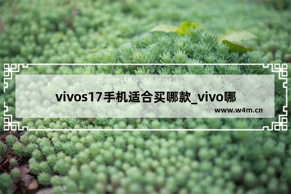 vivos17手机适合买哪款_vivo哪个版本平价好用