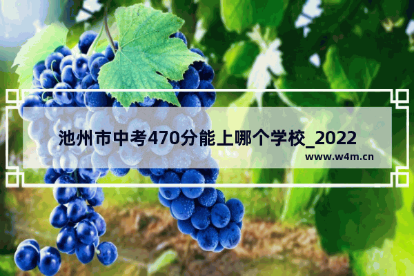 池州市中考470分能上哪个学校_2022高考文科位次70585能报什么学校