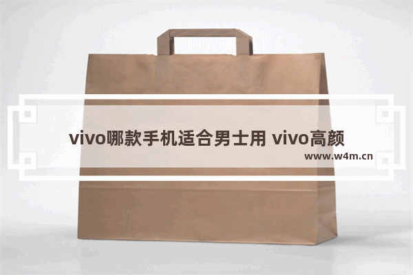 vivo哪款手机适合男士用 vivo高颜值手机推荐男生