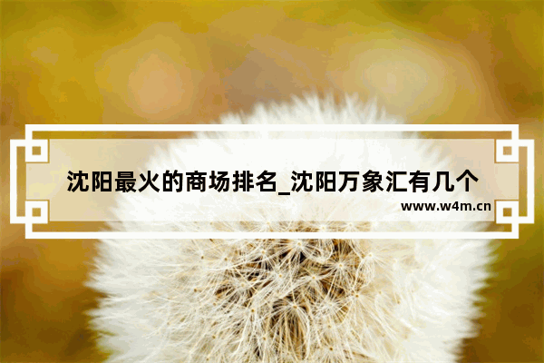 沈阳最火的商场排名_沈阳万象汇有几个