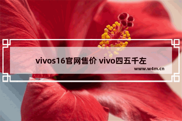 vivos16官网售价 vivo四五千左右手机推荐