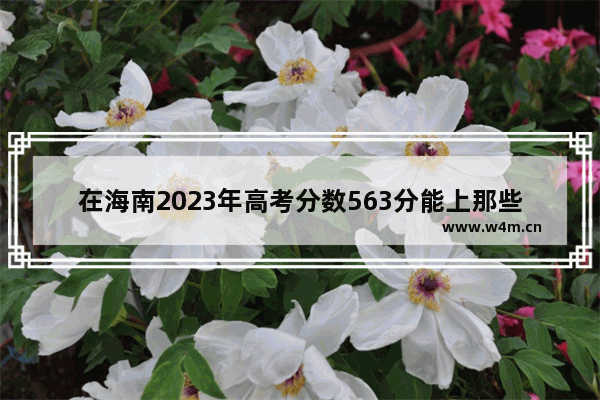 在海南2023年高考分数563分能上那些学校 这很海南落户高考分数线